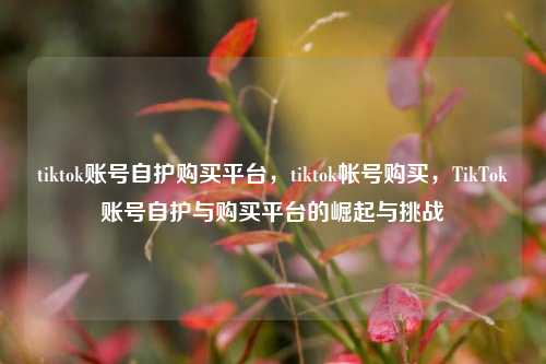 tiktok账号自护购买平台，tiktok帐号购买，TikTok账号自护与购买平台的崛起与挑战