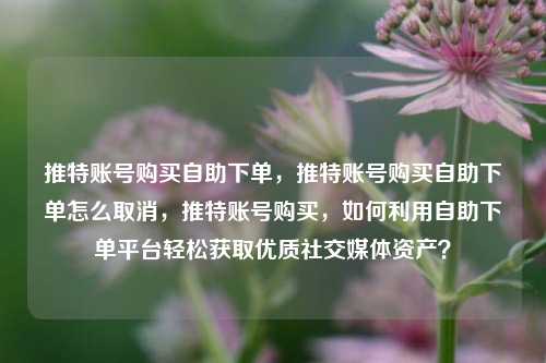 推特账号购买自助下单，推特账号购买自助下单怎么取消，推特账号购买，如何利用自助下单平台轻松获取优质社交媒体资产？