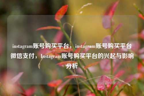 instagram账号购买平台，instagram账号购买平台微信支付，Instagram账号购买平台的兴起与影响分析  第1张