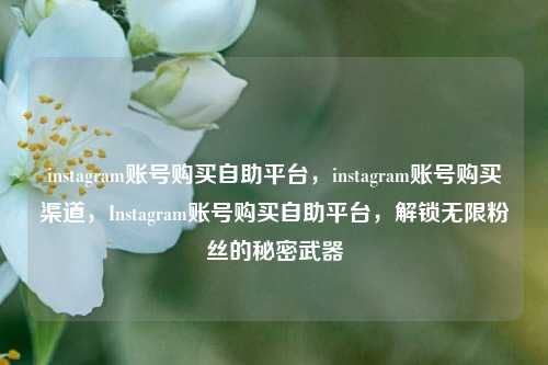 instagram账号购买自助平台，instagram账号购买渠道，Instagram账号购买自助平台，解锁无限粉丝的秘密武器