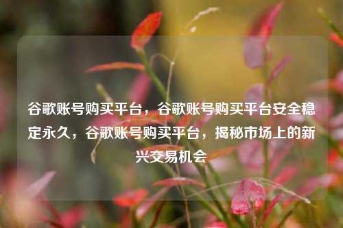 谷歌账号购买平台，谷歌账号购买平台安全稳定永久，谷歌账号购买平台，揭秘市场上的新兴交易机会