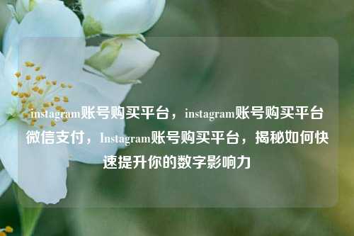 instagram账号购买平台，instagram账号购买平台微信支付，Instagram账号购买平台	，揭秘如何快速提升你的数字影响力  第1张