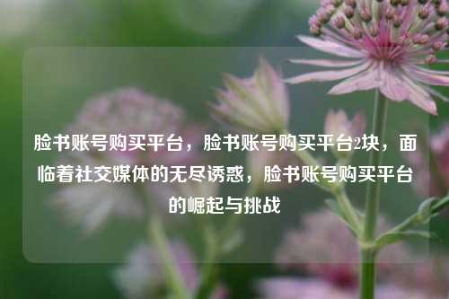 脸书账号购买平台，脸书账号购买平台2块，面临着社交媒体的无尽诱惑，脸书账号购买平台的崛起与挑战