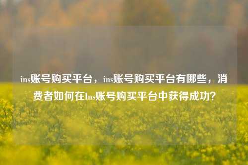 ins账号购买平台，ins账号购买平台有哪些，消费者如何在Ins账号购买平台中获得成功？