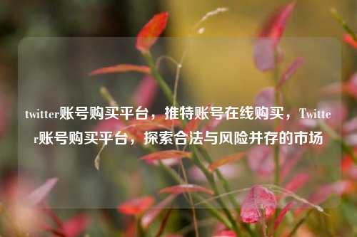 twitter账号购买平台，推特账号在线购买，Twitter账号购买平台，探索合法与风险并存的市场