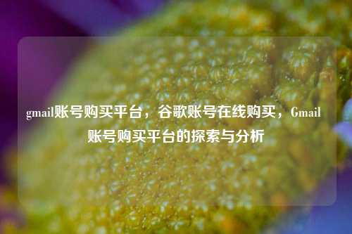 gmail账号购买平台，谷歌账号在线购买，Gmail 账号购买平台的探索与分析