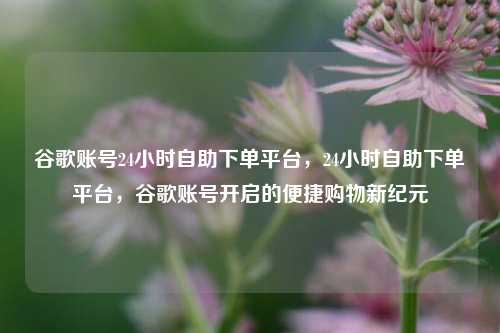 谷歌账号24小时自助下单平台，24小时自助下单平台，谷歌账号开启的便捷购物新纪元