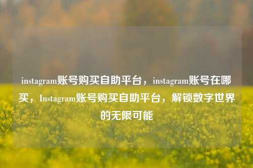 instagram账号购买自助平台，instagram账号在哪买，Instagram账号购买自助平台，解锁数字世界的无限可能