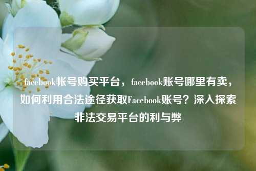 facebook帐号购买平台，facebook账号哪里有卖，如何利用合法途径获取Facebook账号？深入探索非法交易平台的利与弊