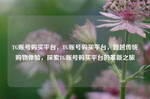 TG账号购买平台，TG账号购买平台，超越传统购物体验，探索TG账号购买平台的革新之旅