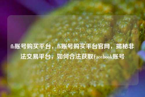 fb账号购买平台，fb账号购买平台官网，揭秘非法交易平台，如何合法获取Facebook账号