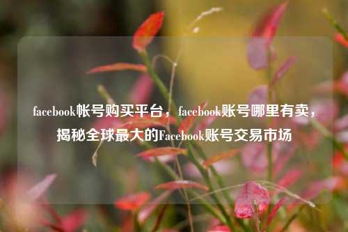 facebook帐号购买平台，facebook账号哪里有卖，揭秘全球最大的Facebook账号交易市场
