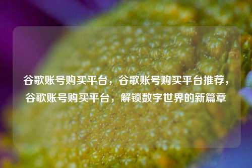 谷歌账号购买平台，谷歌账号购买平台推荐，谷歌账号购买平台，解锁数字世界的新篇章
