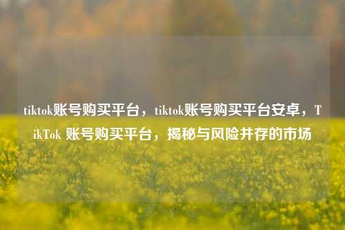 tiktok账号购买平台，tiktok账号购买平台安卓，TikTok 账号购买平台，揭秘与风险并存的市场