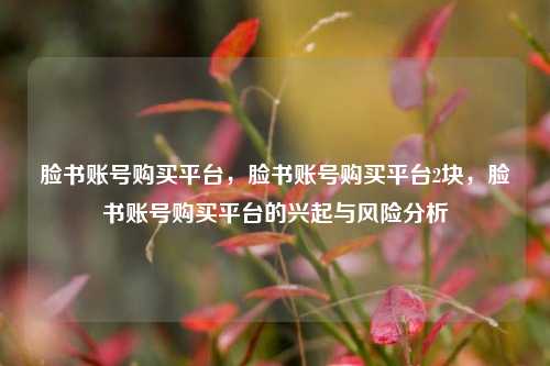 脸书账号购买平台，脸书账号购买平台2块，脸书账号购买平台的兴起与风险分析