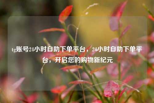 tg账号24小时自助下单平台，24小时自助下单平台，开启您的购物新纪元