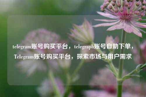 telegram账号购买平台，telegraph账号自助下单，Telegram账号购买平台，探索市场与用户需求