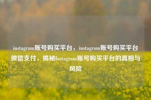 instagram账号购买平台，instagram账号购买平台微信支付，揭秘Instagram账号购买平台的真相与风险