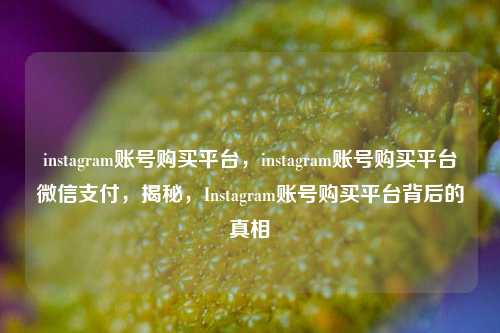 instagram账号购买平台，instagram账号购买平台微信支付，揭秘，Instagram账号购买平台背后的真相