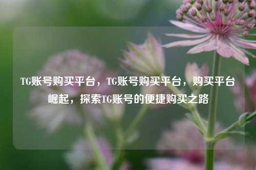 TG账号购买平台，TG账号购买平台，购买平台崛起，探索TG账号的便捷购买之路