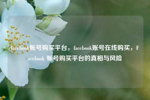 facebook帐号购买平台，facebook账号在线购买，Facebook 帐号购买平台的真相与风险