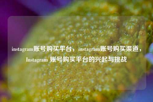 instagram账号购买平台，instagram账号购买渠道，Instagram 账号购买平台的兴起与挑战