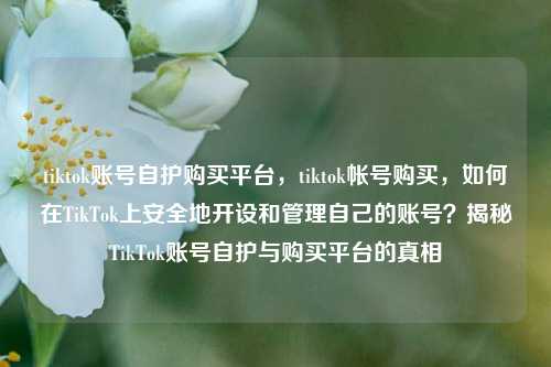 tiktok账号自护购买平台，tiktok帐号购买，如何在TikTok上安全地开设和管理自己的账号？揭秘TikTok账号自护与购买平台的真相
