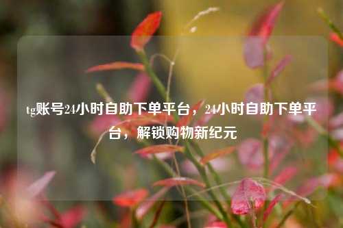 tg账号24小时自助下单平台，24小时自助下单平台，解锁购物新纪元