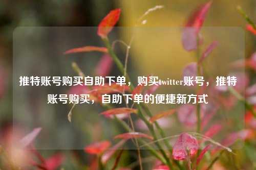 推特账号购买自助下单，购买twitter账号，推特账号购买，自助下单的便捷新方式