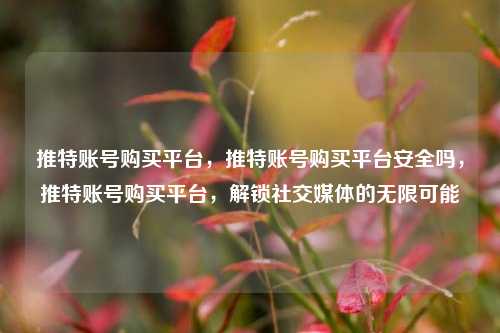 推特账号购买平台，推特账号购买平台安全吗，推特账号购买平台，解锁社交媒体的无限可能