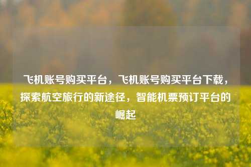 飞机账号购买平台，飞机账号购买平台下载，探索航空旅行的新途径，智能机票预订平台的崛起
