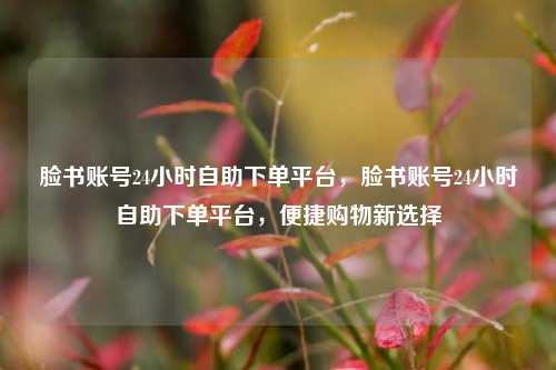 脸书账号24小时自助下单平台，脸书账号24小时自助下单平台，便捷购物新选择