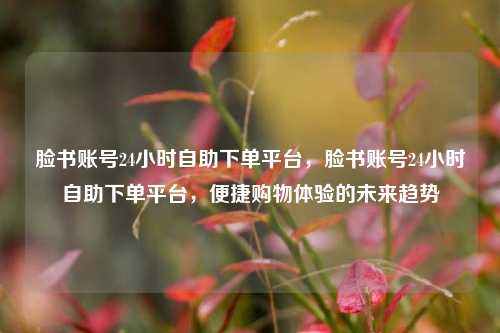 脸书账号24小时自助下单平台，脸书账号24小时自助下单平台，便捷购物体验的未来趋势