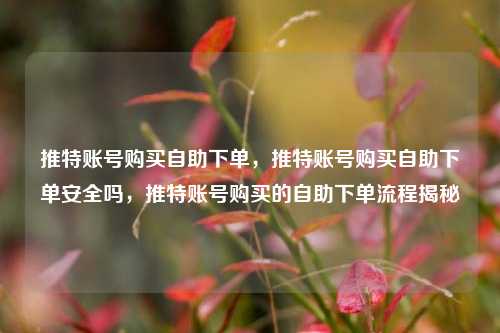 推特账号购买自助下单，推特账号购买自助下单安全吗，推特账号购买的自助下单流程揭秘