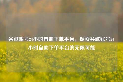 谷歌账号24小时自助下单平台，探索谷歌账号24小时自助下单平台的无限可能
