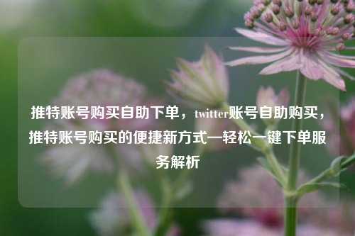 推特账号购买自助下单，twitter账号自助购买，推特账号购买的便捷新方式—轻松一键下单服务解析