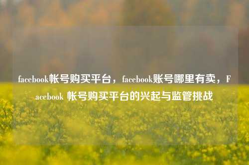 facebook帐号购买平台	，facebook账号哪里有卖，Facebook 帐号购买平台的兴起与监管挑战  第1张