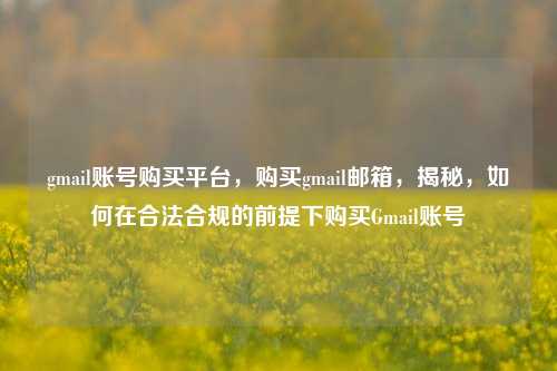 gmail账号购买平台，购买gmail邮箱，揭秘，如何在合法合规的前提下购买Gmail账号