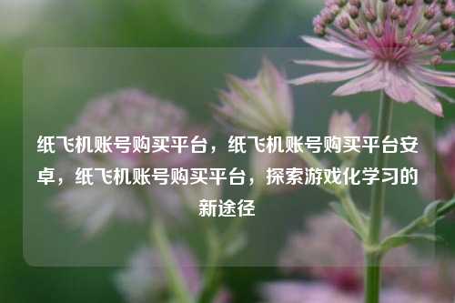 纸飞机账号购买平台，纸飞机账号购买平台安卓，纸飞机账号购买平台，探索游戏化学习的新途径
