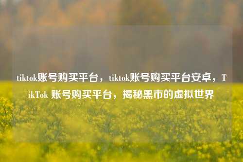tiktok账号购买平台，tiktok账号购买平台安卓，TikTok 账号购买平台，揭秘黑市的虚拟世界