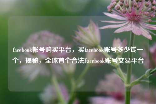 facebook帐号购买平台，买facebook账号多少钱一个，揭秘，全球首个合法Facebook账号交易平台