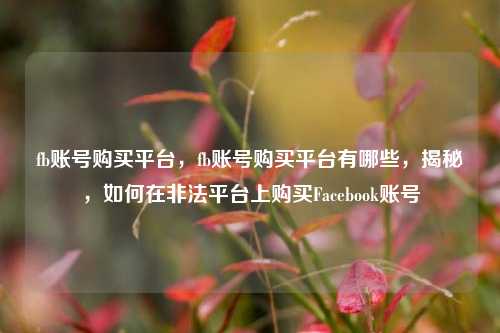 fb账号购买平台	，fb账号购买平台有哪些，揭秘，如何在非法平台上购买Facebook账号  第1张