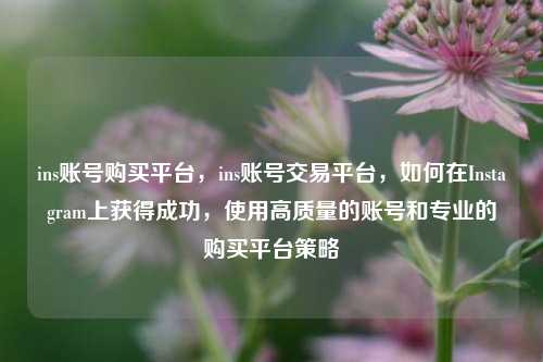 ins账号购买平台，ins账号交易平台，如何在Instagram上获得成功，使用高质量的账号和专业的购买平台策略
