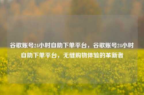 谷歌账号24小时自助下单平台，谷歌账号24小时自助下单平台，无缝购物体验的革新者