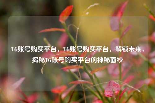 TG账号购买平台，TG账号购买平台	，解锁未来，揭秘TG账号购买平台的神秘面纱  第1张