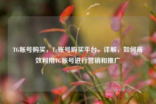 TG账号购买，Tg账号购买平台，详解，如何高效利用TG账号进行营销和推广