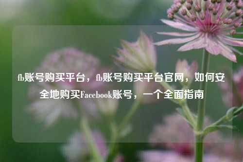 fb账号购买平台，fb账号购买平台官网	，如何安全地购买Facebook账号，一个全面指南  第1张