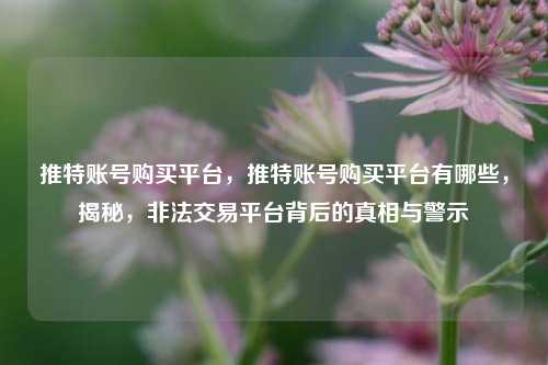 推特账号购买平台，推特账号购买平台有哪些，揭秘，非法交易平台背后的真相与警示