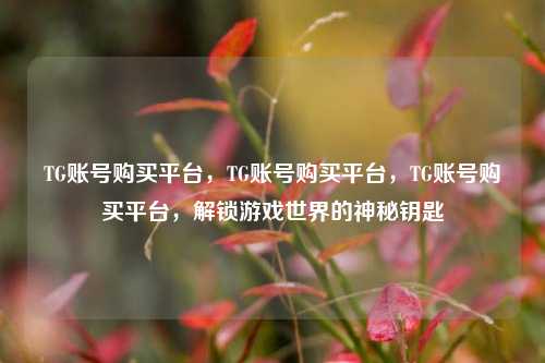 TG账号购买平台，TG账号购买平台，TG账号购买平台，解锁游戏世界的神秘钥匙