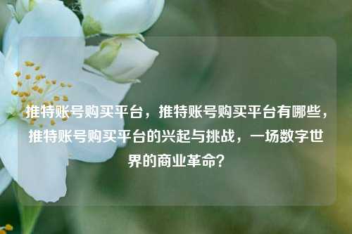 推特账号购买平台，推特账号购买平台有哪些，推特账号购买平台的兴起与挑战，一场数字世界的商业革命？